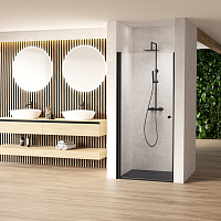 Стеклянная перегородка в душевую нишу с распашной дверью